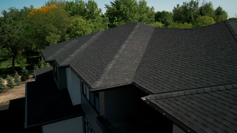 Best Solar Panel Roofing Installation  in Canton, TX